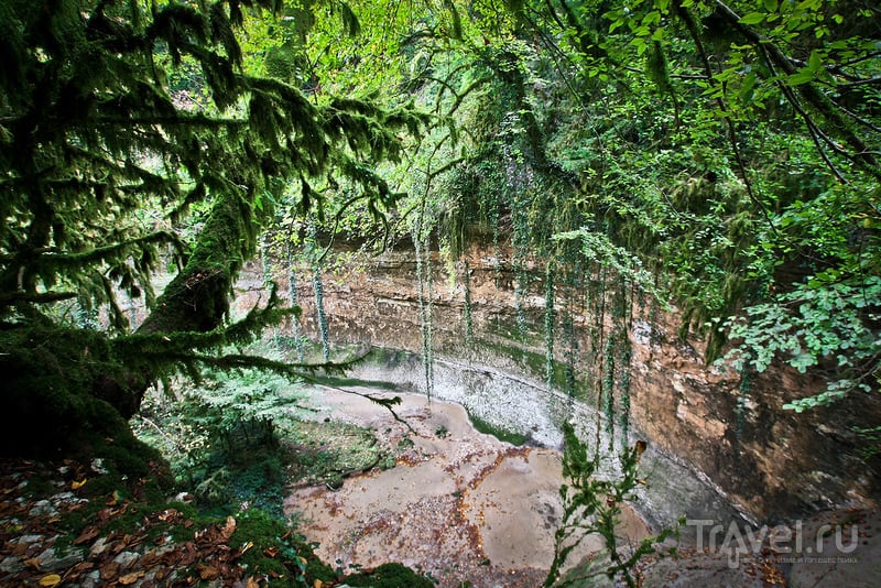 Шакуранские водопады, путешествие в сказочный лес / Фото из Абхазии