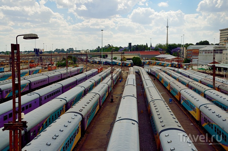Hop On / Hop Off. По Йоханнесбургу на красном автобусе / Фото из ЮАР