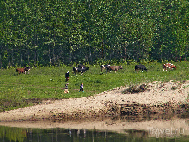 Гороховец / Фото из России