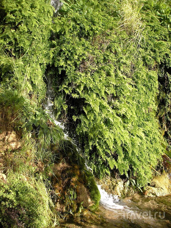 Водопады Альгара / Испания