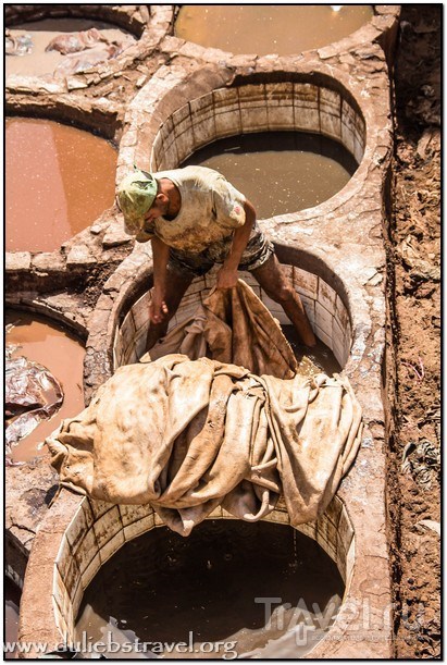 Красильни Шуара в городе Фес / Фото из Марокко
