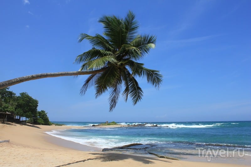 Тангалле: райские лагуны / Шри-Ланка