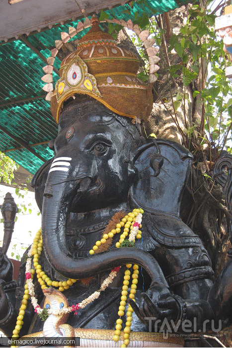 Первые мгновения в Керале. Тривандрум / Фото из Индии