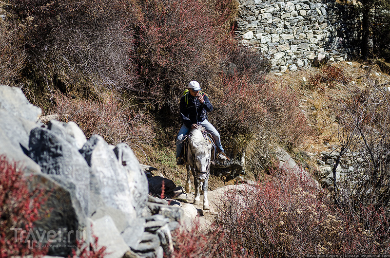 . Way back to Namche Bazar /   