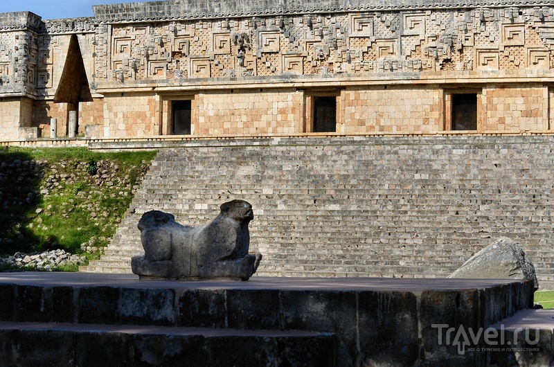 Золотистой текилы струя... Мексика 2013 / Фото из Мексики