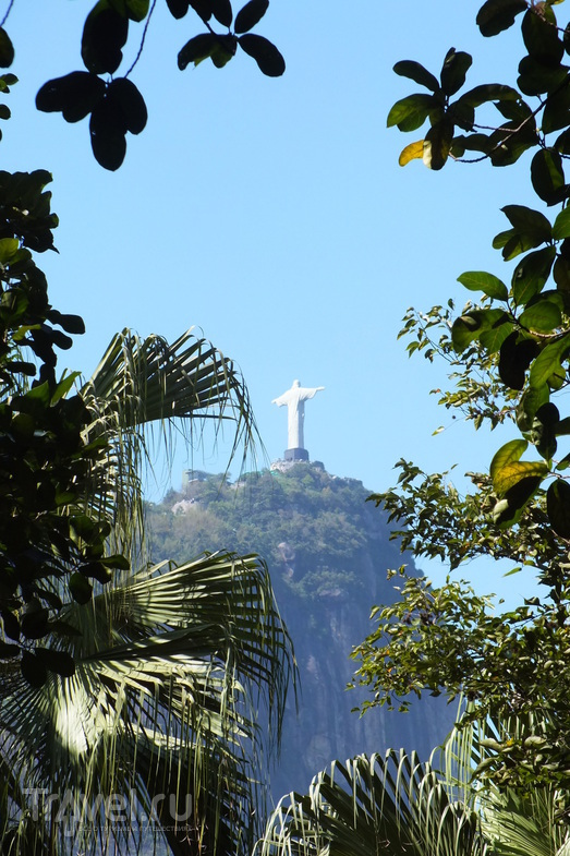 Рио-де-Жанейро. Статуя Христа на горе Корковадо / Бразилия