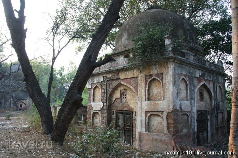 Мехраули - мечети в джунглях / Индия