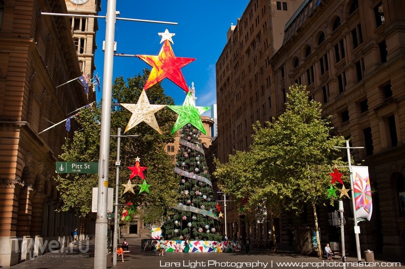  Martin Place /   