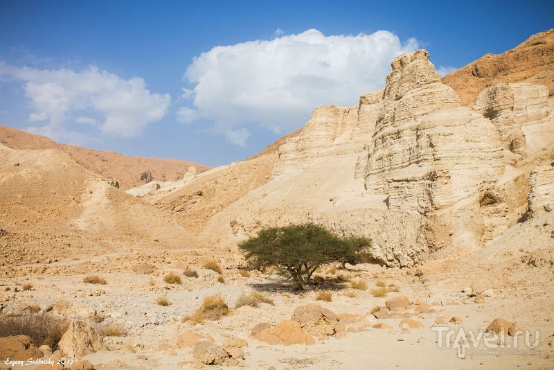 Два однодневных маршрута в пустынях Израиля / Израиль