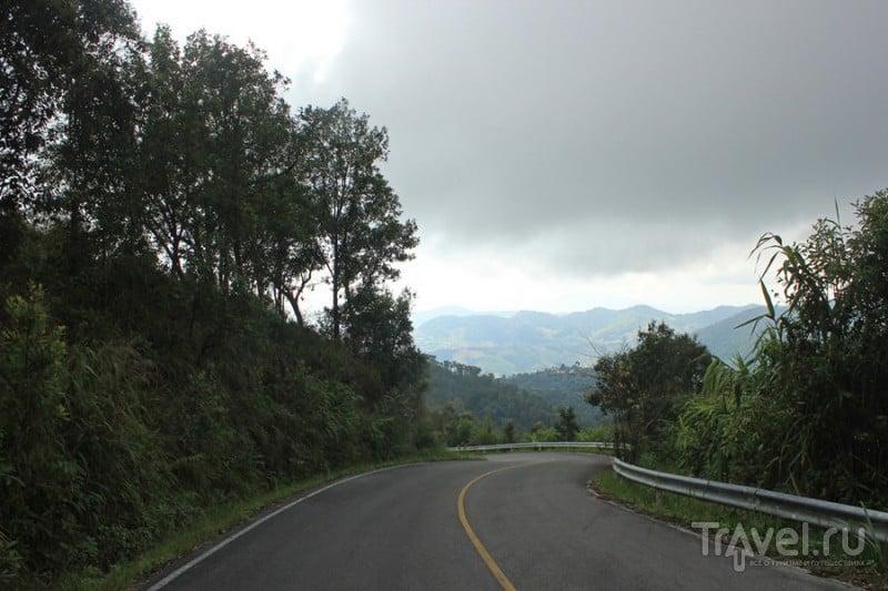    : Mae Salong, Chiang Saen, Phu Chi Fa, Mae Hong Son    / 