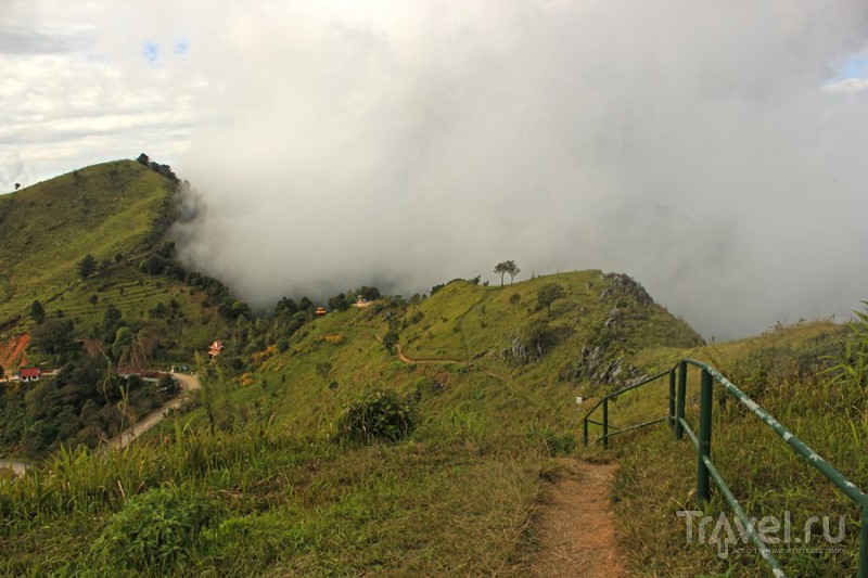    : Mae Salong, Chiang Saen, Phu Chi Fa, Mae Hong Son    / 