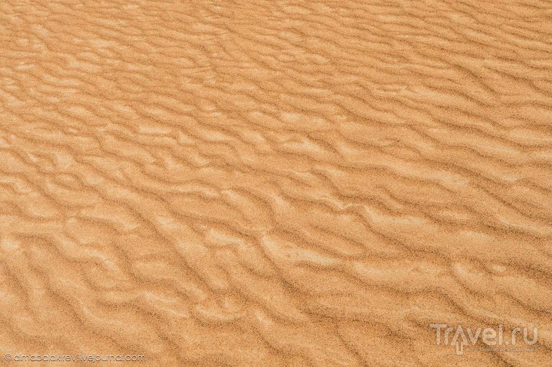На квадроциклах по дубайским дюнам / Фото из ОАЭ