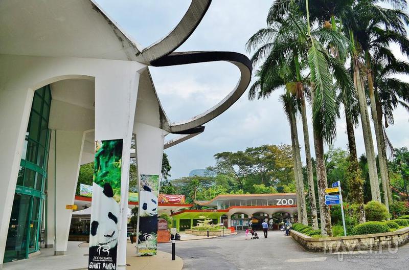 Зоопарк Куала-Лумпура, Малайзия / Фото из Малайзии