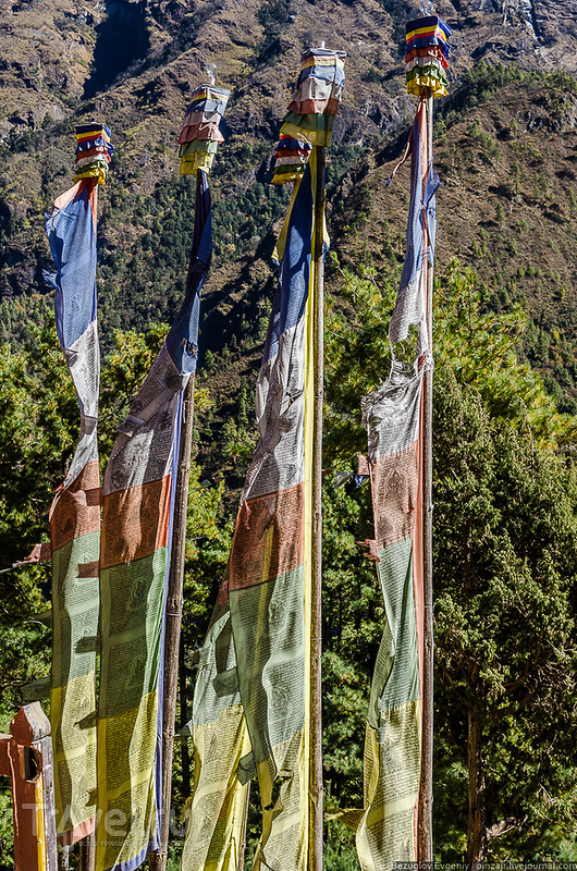 Непал. В гости к монахам. Ноябрь 2013 / Фото из Непала
