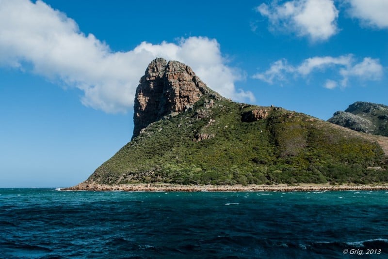 Бухта Хаут-Бей и остров котиков / Фото из ЮАР