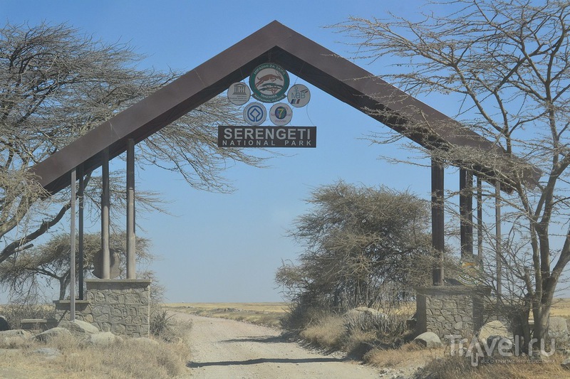 Самостоятельное сафари в Танзании. Ущелье Олдуваи. Серенгети / Танзания