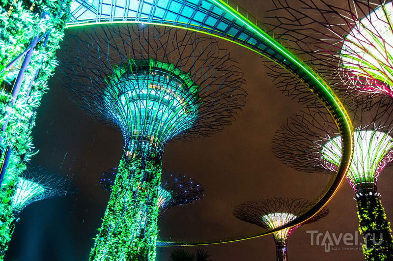 . Gardens by the Bay / 