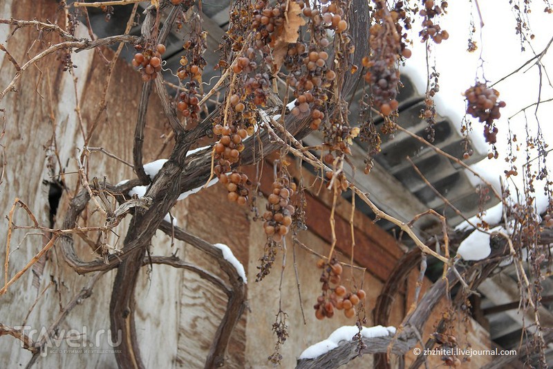 Ереван и окрестности за четыре дня / Фото из Армении