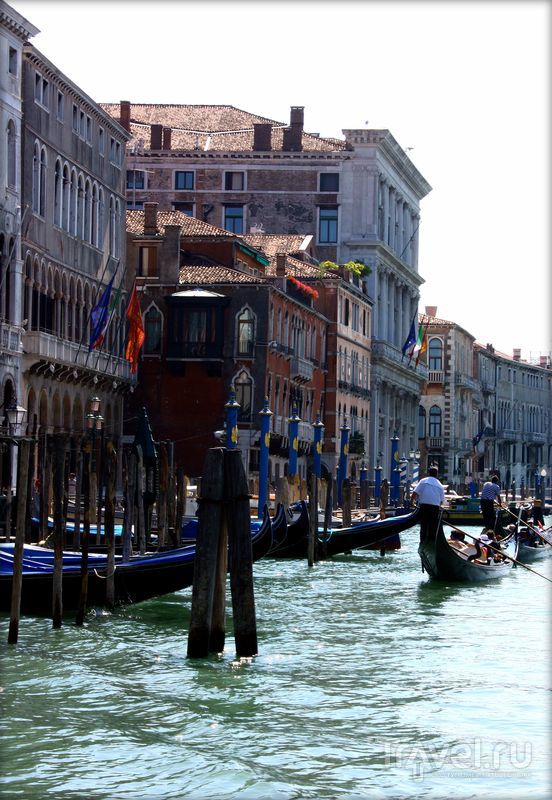 Страх и ненависть в Венеции / Фото из Италии