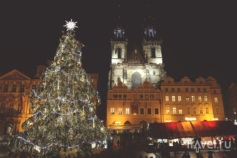 Большая Рождественская ель в Праге, Чехия / Чехия