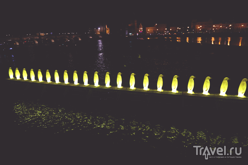 Светящиеся пингвины на берегу Влтавы в Праге, Чехия / Чехия