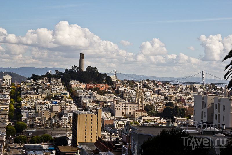 Один день в Сан-Франциско / Фото из США
