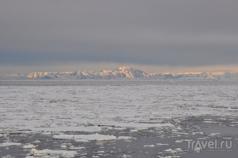 Новый год во льдах Антарктики / Фото из Антарктики