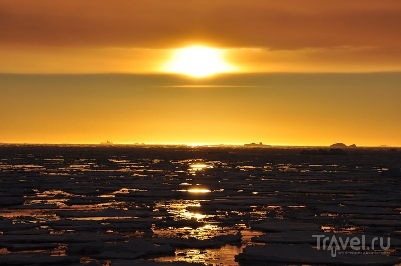 Новый год во льдах Антарктики / Фото из Антарктики