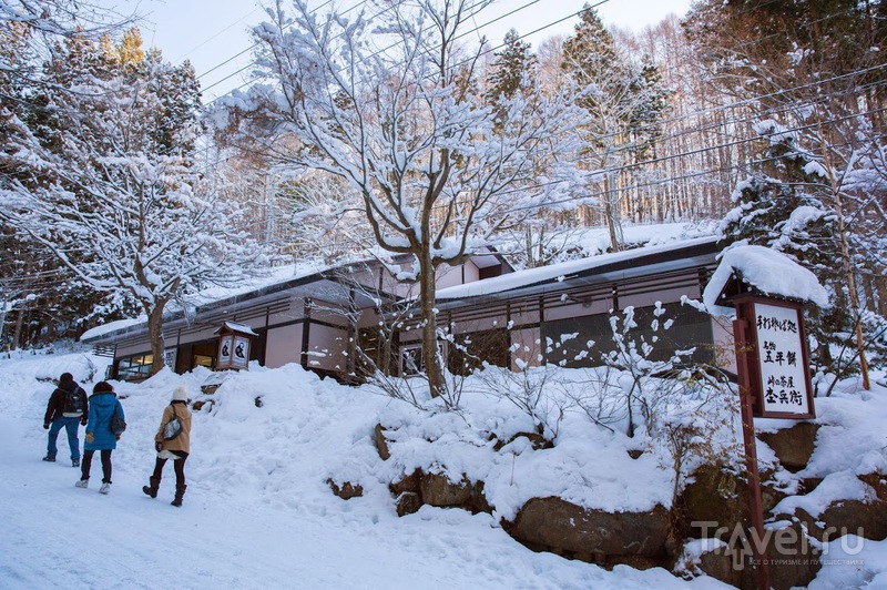  . Jigokudani Monkey Park.     / 