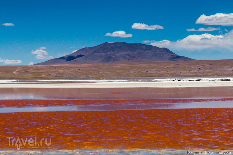 Разноцветье вод. Боливия / Фото из Боливии