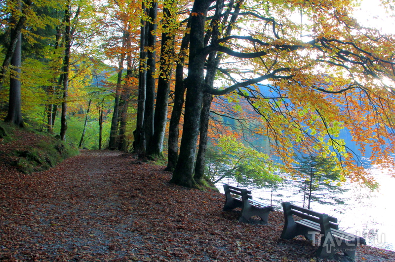 Сказочная осень в Баварии / Фото из Германии