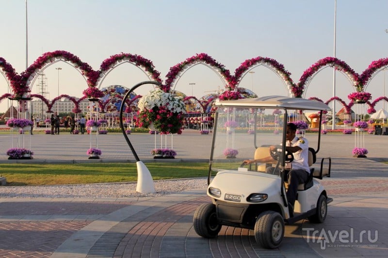 Dubai Miracle Garden - цветочное царство среди пустыни / ОАЭ