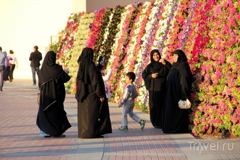 Dubai Miracle Garden - цветочное царство среди пустыни / ОАЭ