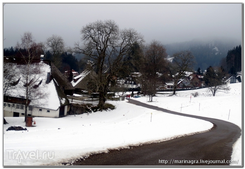 Зима в Шварцвальде / Германия