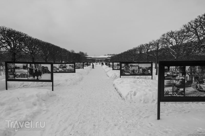 Петергоф зимой - снег, солнце, тишина / Фото из России