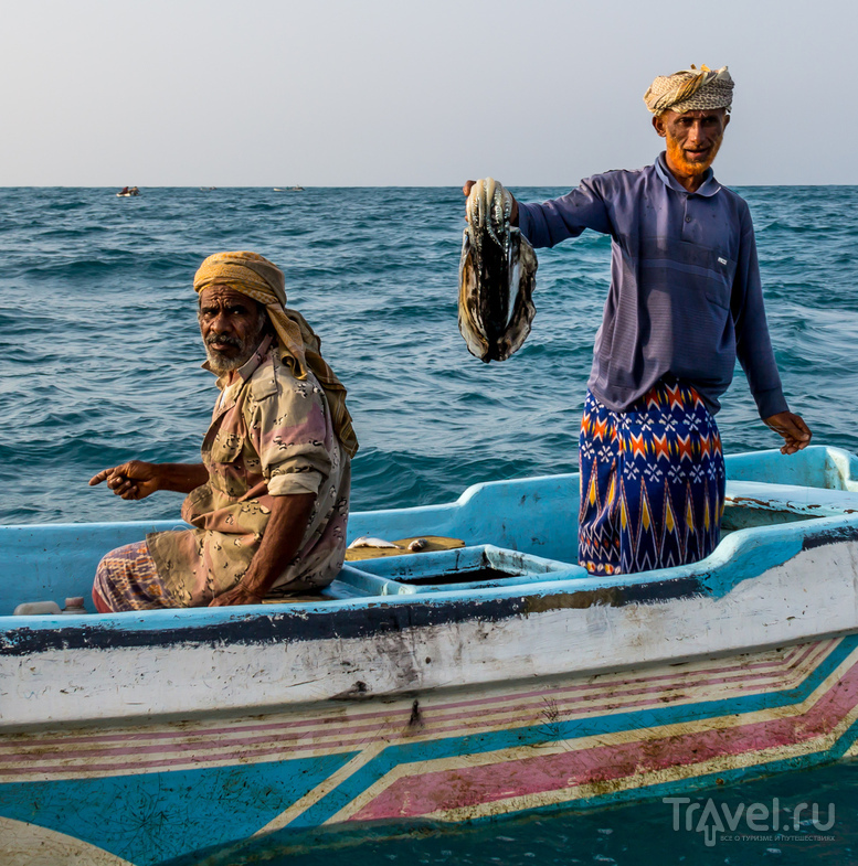 Йемен. Побережье Красного моря / Фото из Йемена