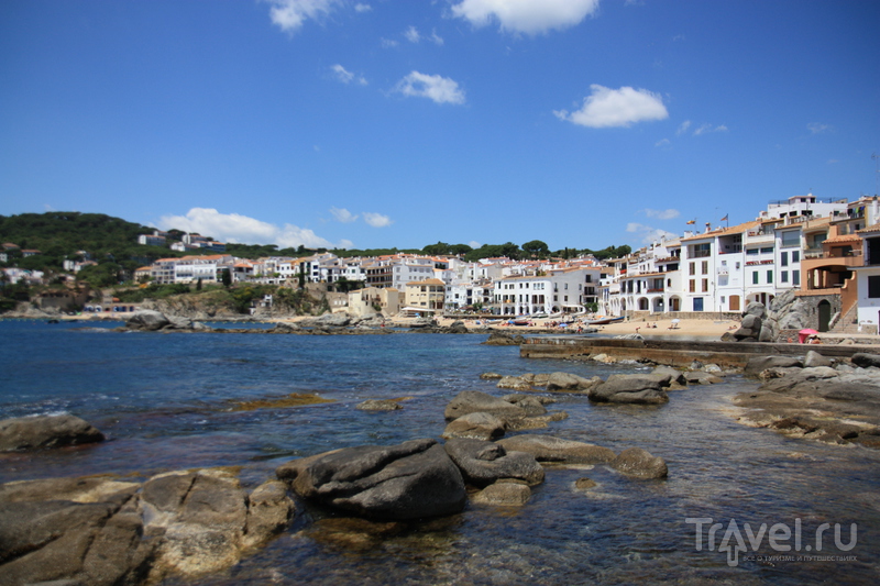 Calella de Palafrugell.     / 