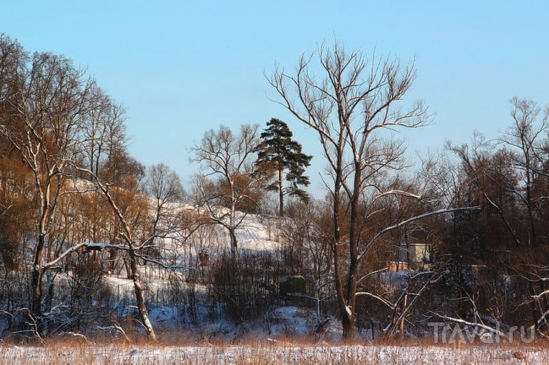 Саввино-Сторожевский монастырь в январе / Фото из России