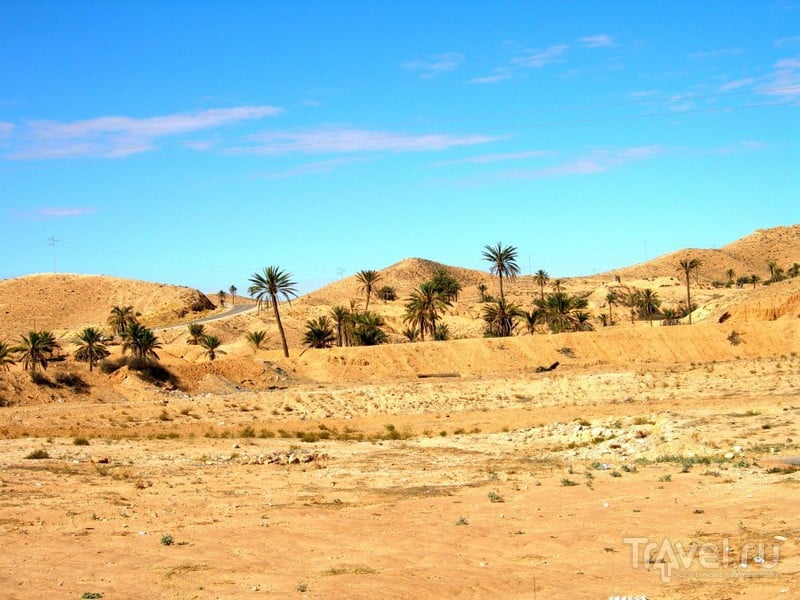 В пустыне Сахара, Тунис / Фото из Туниса