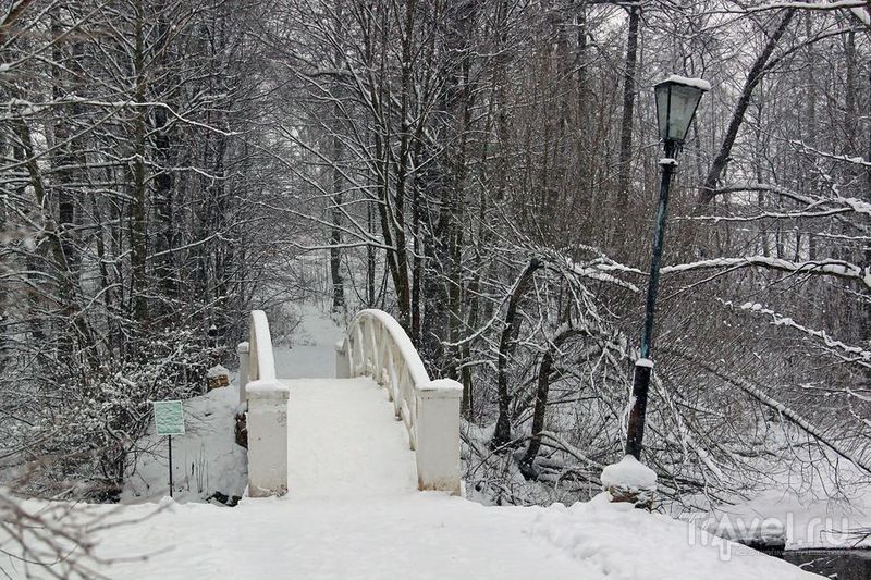 Остафьево, или... о красоте снегопада / Фото из России