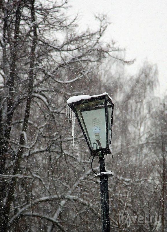 Остафьево, или... о красоте снегопада / Фото из России