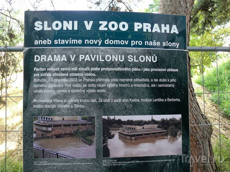Прогулка по Пражскому зоопарку / Чехия