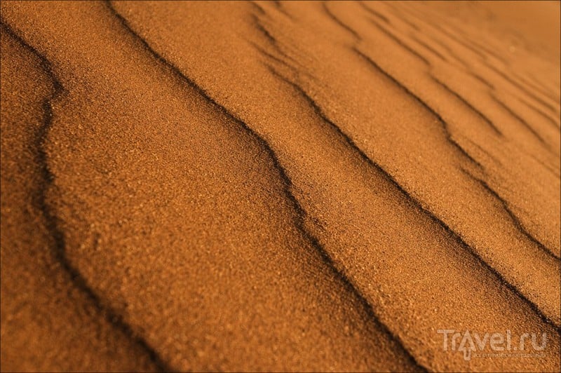 Намибия, пустыня Намиб / Фото из Намибии