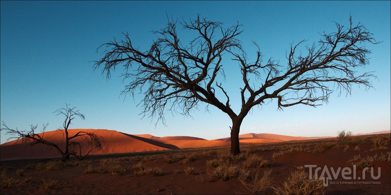 Намибия, пустыня Намиб / Фото из Намибии