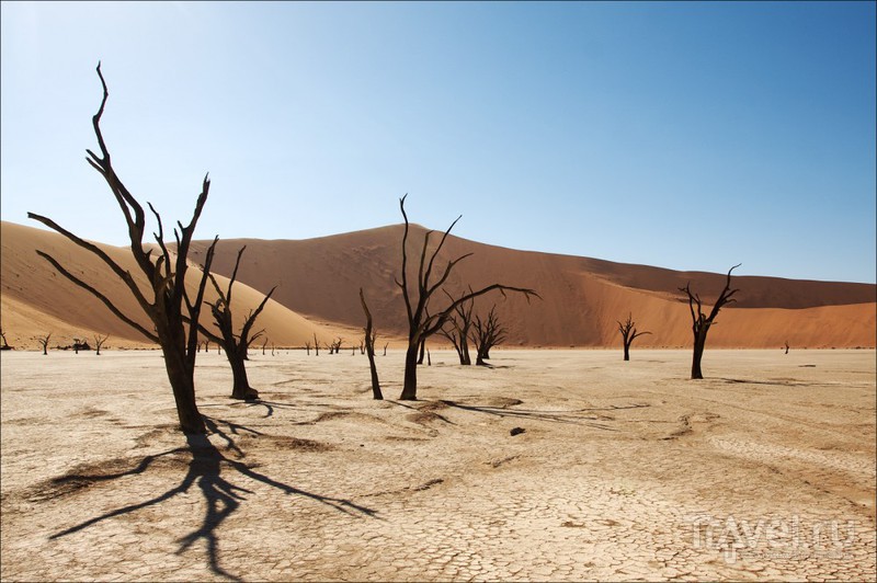 В пустыне Намиб, Намибия / Фото из Намибии