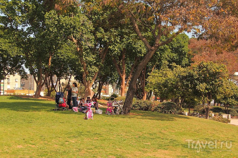 Тель-Авив. Парк Менахем Бегин - отличное место отдыха / Израиль