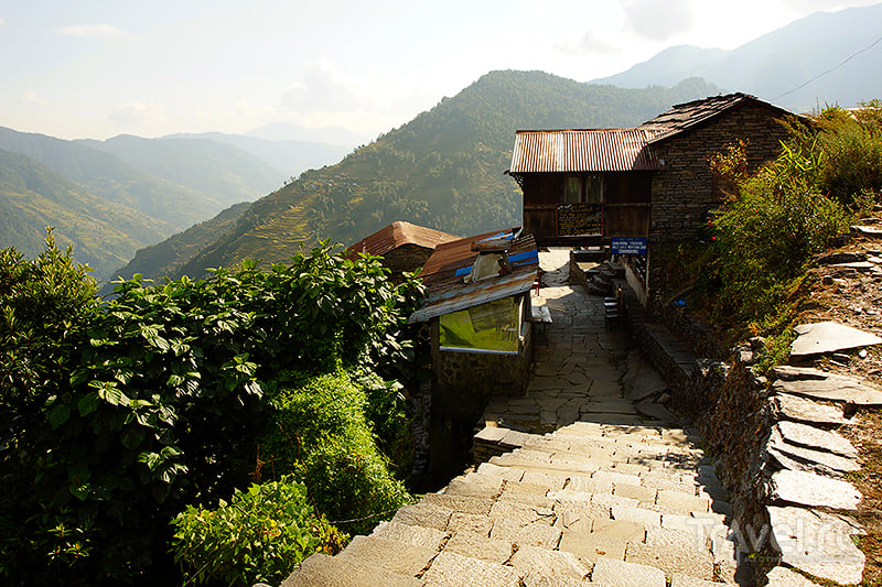Дорога к гостевому дому / Фото из Непала