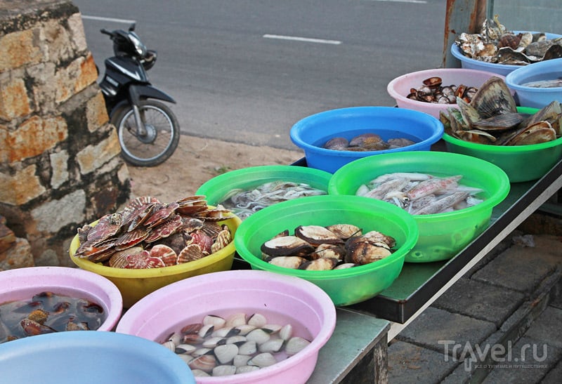 Вьетнамские деликатесы. Далат: слоны, страусы, "Крейзи-хауз" / Вьетнам