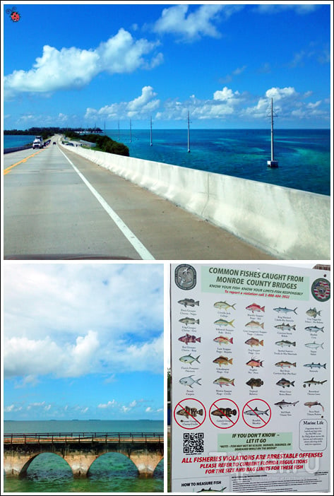 Miami, Key West, Everglades NP, Cape Canaveral / США