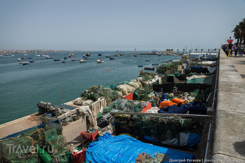 Рыболовные принадлежности / Фото из Португалии